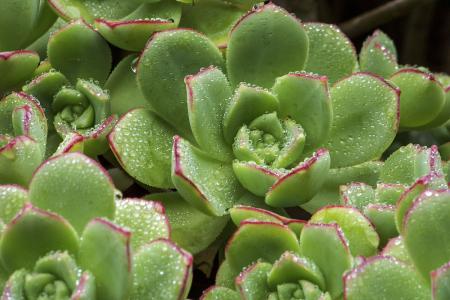 ³¬³¤¼ÙÆÚ¼¤»îÈ«ÓòÂÃÓÎ ÎÄÂÃÏû·ÑÓÐÍûÔÙ´´Ð¸ß