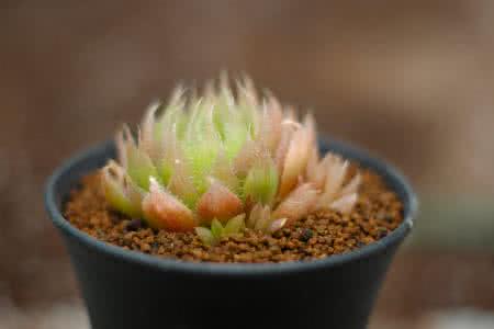 Èý²¿ÃÅͳһÐÅÅû¹æÔò ÍÆ½øÕ®È¯Êг¡»¥Áª»¥Í¨