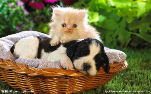 Ó¢¹ú½«¸ü¶àµØÇøÒßÇé·À¿Ø¼¶±ðµ÷ÉýÖÁ×î¸ß¼¶