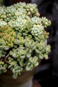 ±±¾©:5¸öÖзçÏÕÇø ˳Òå¾Ö²¿¾Û¼¯ÐÔÒßÇé,5È˱»ÎÊÔð