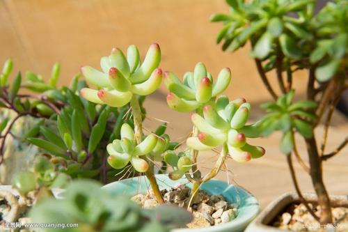 新疆连续7年开展“访民情惠民生聚民心”工作