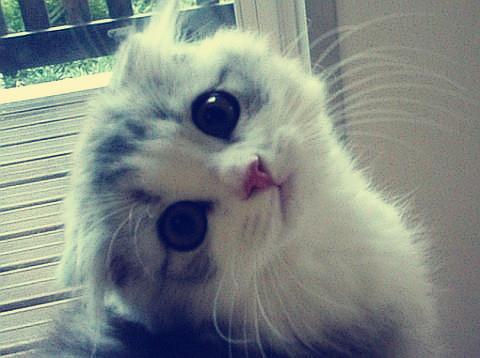 Î岿ÃÅ£ººÏ¹æÔÙÉú¸ÖÌúÔÁÏ2021ÄêÆð¿É×ÔÓɽø¿Ú