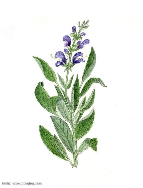 »¥ÁªÍø´æ¿î²úÆ·ÊÇ·ñºÏ¹æ£¿¼à¹Ü²¿ÃÅ»ØÓ¦À´ÁË£¡