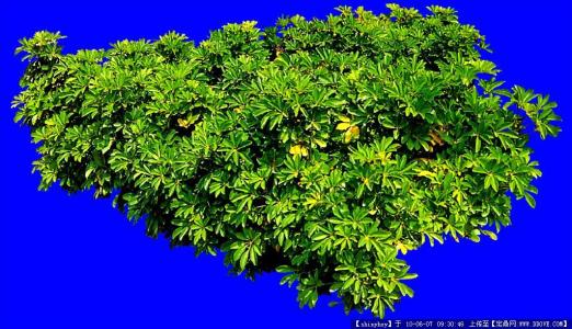 Àî¿ËÇ¿Ö÷³Ö»áÒé È·±£Å©Ãñ¹¤°´Ê±×ã¶îÄõ½±¨³ê