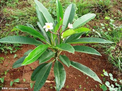 ±¨¸æÏÔʾÎÒ¹úµç×ÓÉÌÎñÁìÓò֪ʶ²úȨ±£»¤È«Ãæ¼ÓÇ¿