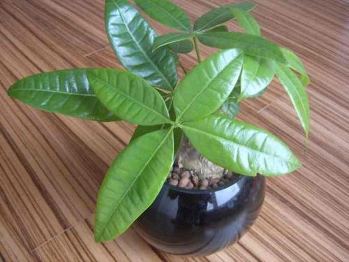 多地出台落户新政策,释放了什么信号?