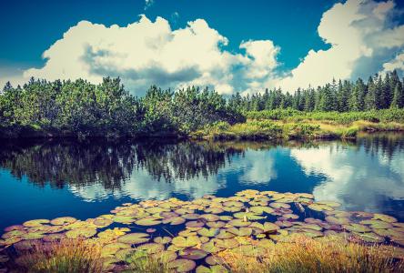 ͨ䲿Сͳ޾Ӫ߲泵ṩ