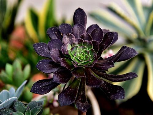 ÍÑÆ¶¹¥¼á|ɽ¶«Ò׵طöƶ°áǨƶÀ§ÈË¿ÚÈ«²¿Îȶ¨ÍÑÆ¶